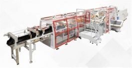 Automatic machine for group packing in a cardboard box Robopac Ocme Altair