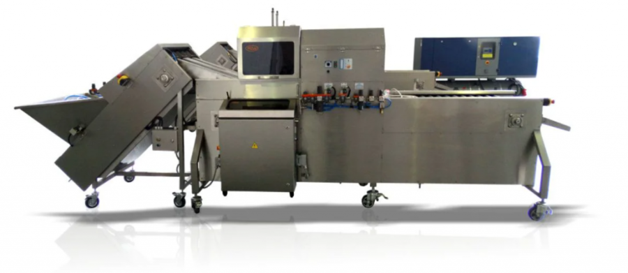 Машина для чистки лука SLM/2000/300