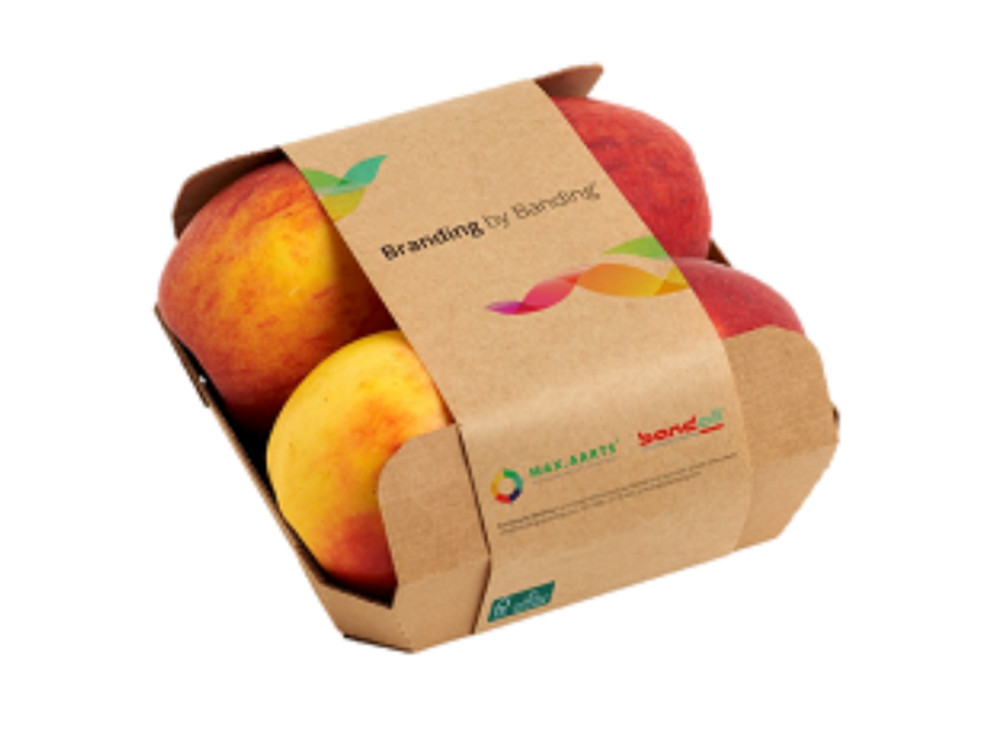 Обандероливающая машина BA 24-15-77 BBB